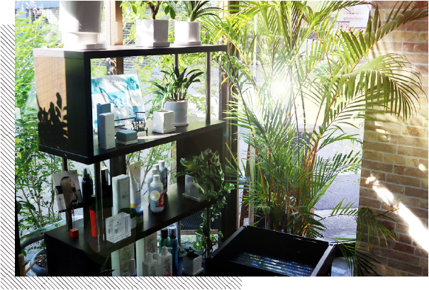 Larucy店内 ヘアケア用品ディスプレイ付近
